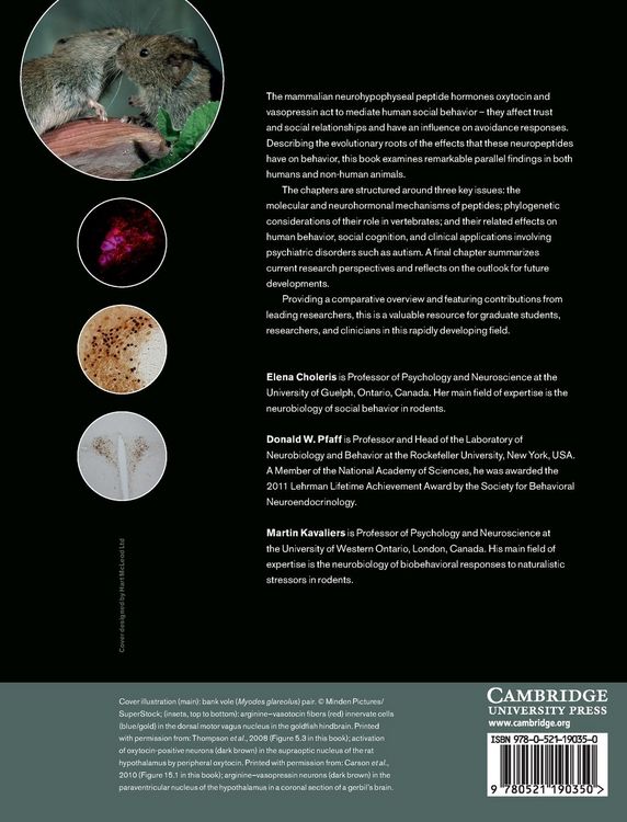 Produktbild: Oxytocin, Vasopressin and Related Peptides in the Regulation of Behavior