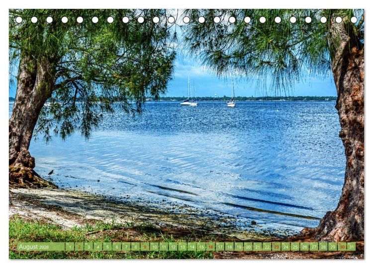 Produktbild: Florida - Sonnige Str&auml;nde und magische S&uuml;mpfe (Tischkalender 2026 DIN A5 quer), CALVENDO Monatskalender