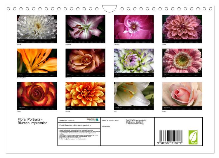 Produktbild: Floral Portraits - Blumen Impression (Wandkalender 2026 DIN A4 quer), CALVENDO Monatskalender