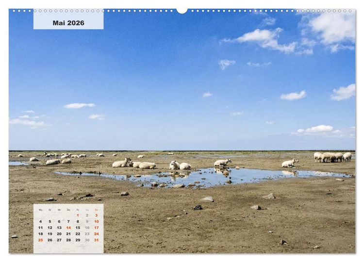 Produktbild: Nord-Ostsee Impressionen (Wandkalender 2026 DIN A2 quer), CALVENDO Monatskalender