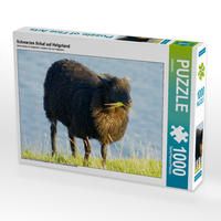 Produktbild: CALVENDO Puzzle Schwarzes Schaf auf Helgoland 1000 Teile Lege-Gr&ouml;&szlig;e 64 x 48 cm Foto-Puzzle Bild von kattobello