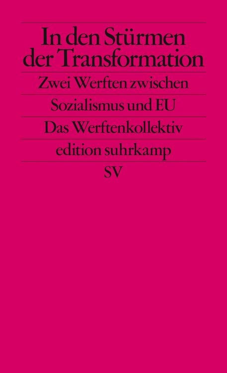 Produktbild: In den Stürmen der Transformation