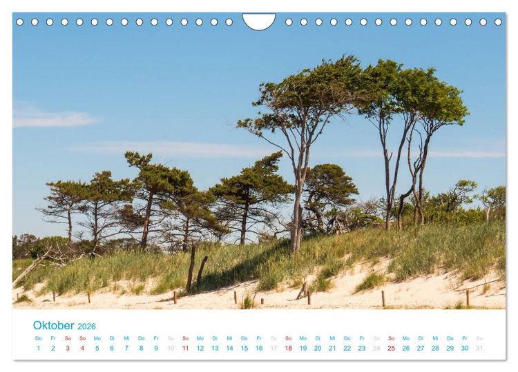 Produktbild: Der Dar&szlig; Kalender (Wandkalender 2026 DIN A4 quer), CALVENDO Monatskalender