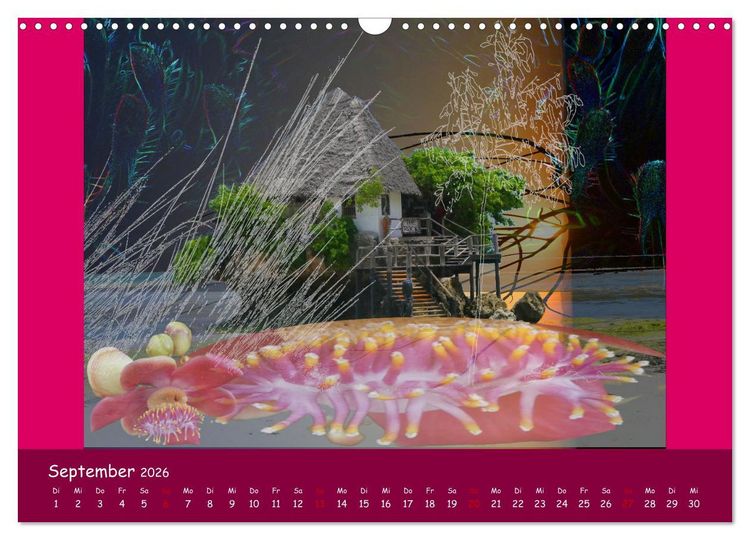 Produktbild: Seelen Bilder (Wandkalender 2026 DIN A3 quer), CALVENDO Monatskalender
