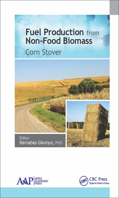 Produktbild: Fuel Production from Non-Food Biomass