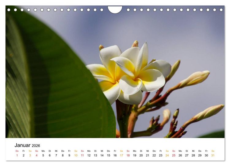 Produktbild: La R&eacute;union - Auf der Insel der Gef&uuml;hle (Wandkalender 2026 DIN A4 quer), CALVENDO Monatskalender