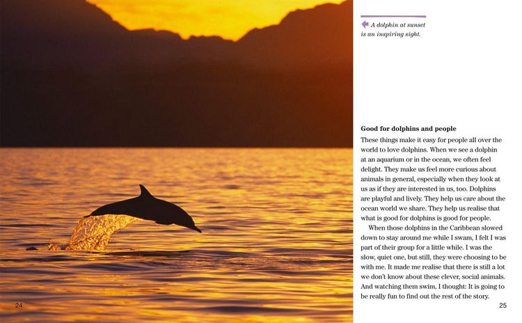 Produktbild: Nat Geo Reader Dolphins