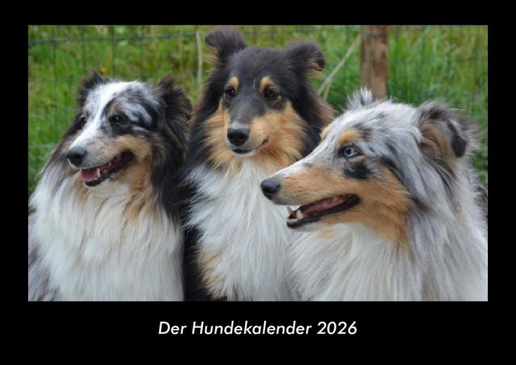 Produktbild: Der Hundekalender 2026 Fotokalender DIN A3