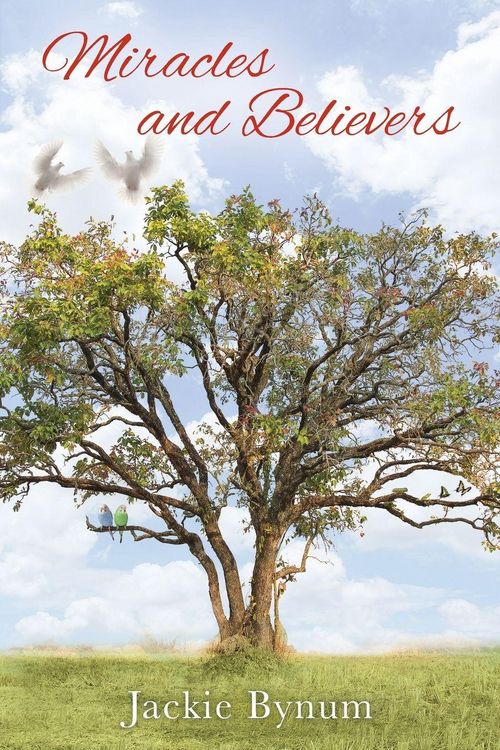 Produktbild: Miracles and Believers