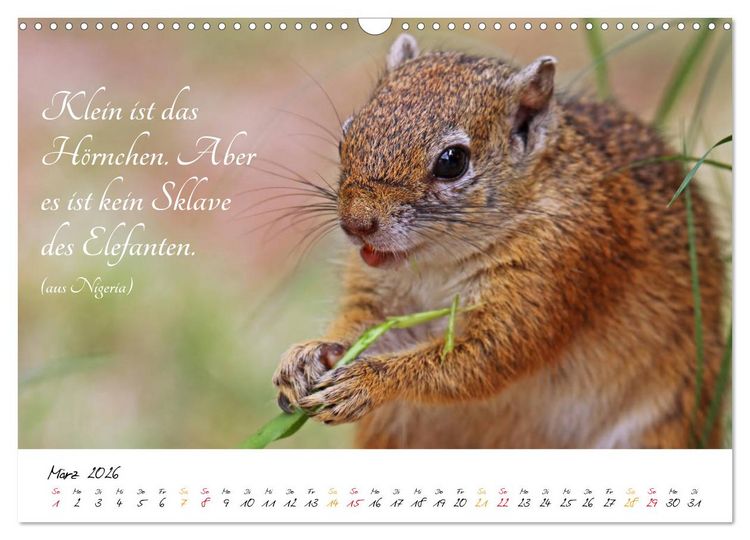 Produktbild: AFRIKA - Kontinent der Poesie (Wandkalender 2026 DIN A3 quer), CALVENDO Monatskalender