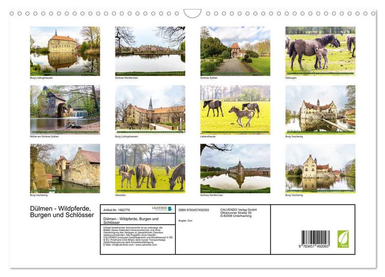 Produktbild: D&uuml;lmen - Wildpferde, Burgen und Schl&ouml;sser (Wandkalender 2026 DIN A3 quer), CALVENDO Monatskalender