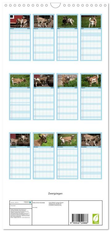 Produktbild: Familienplaner 2026 - Zwergziegen mit 5 Spalten (Wandkalender, 21 x 45 cm) CALVENDO
