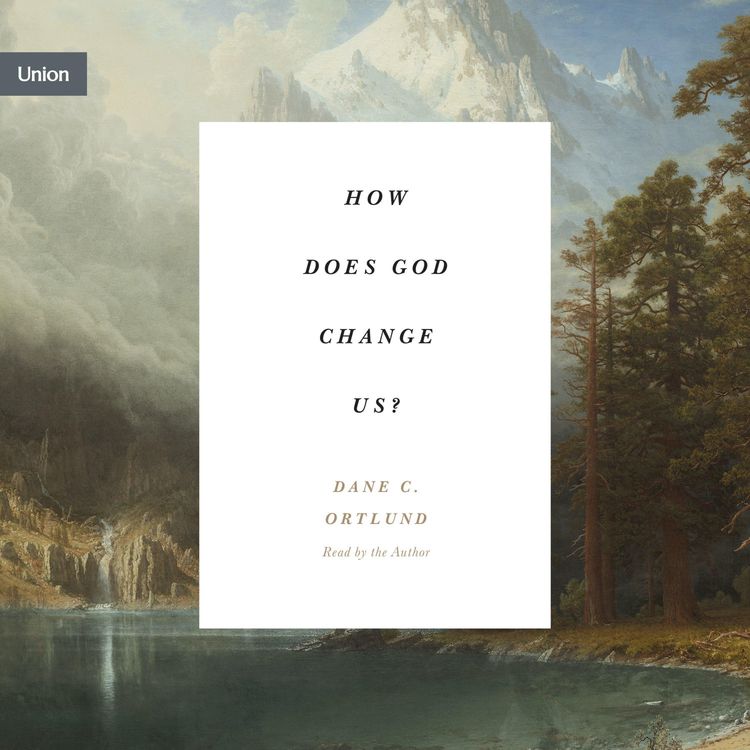 Produktbild: How Does God Change Us?