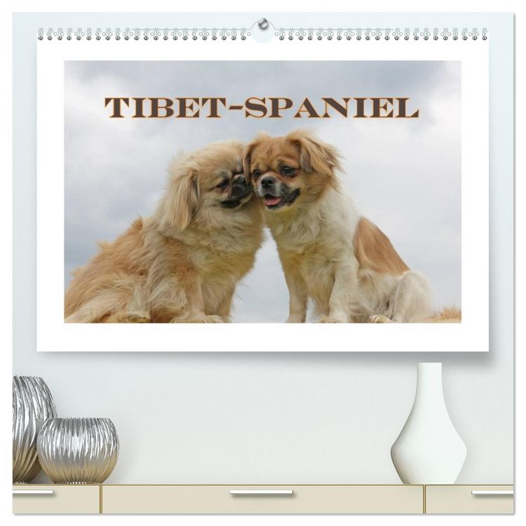 Produktbild: Tibet-Spaniel (hochwertiger Premium Wandkalender 2026 DIN A2 quer), Kunstdruck in Hochglanz