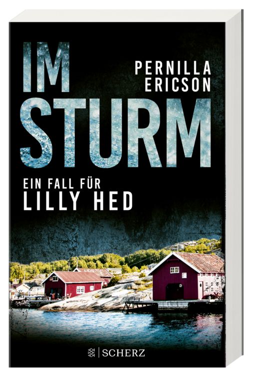 Produktbild: Im Sturm