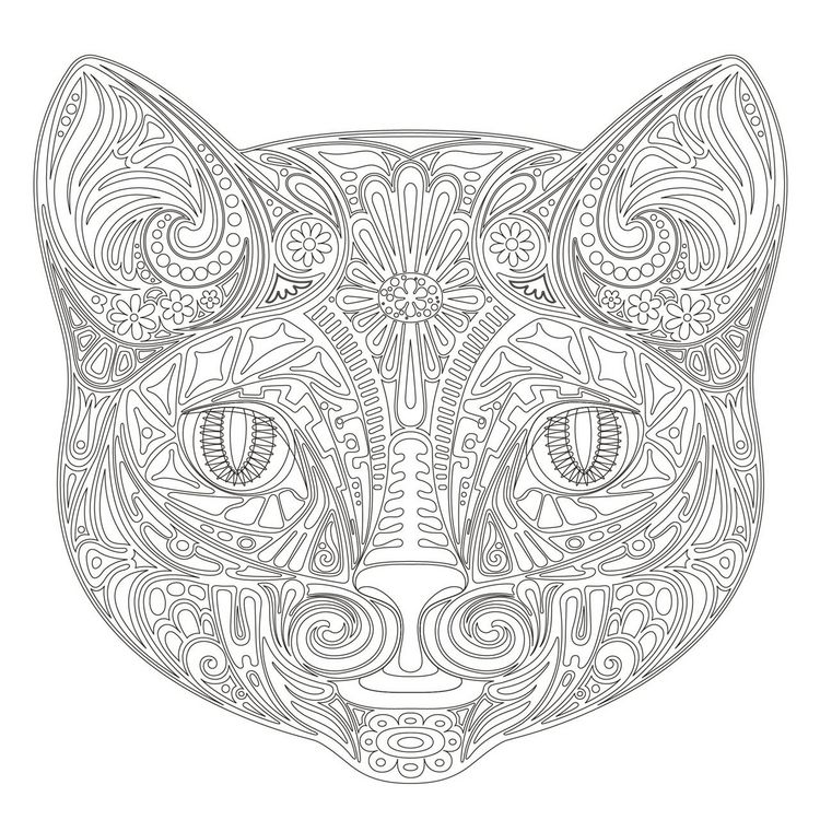 Produktbild: Achtsam & Kreativ. Katzen