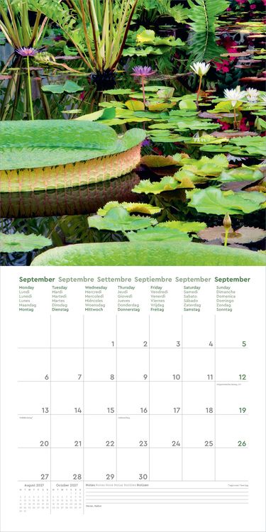 Produktbild: Aufgebl&uuml;ht - KUNTH Broschurkalender 2027