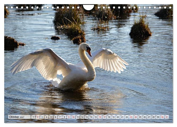Produktbild: Urdenbach und die K&auml;mpe (Wandkalender 2027 DIN A4 quer), CALVENDO Monatskalender