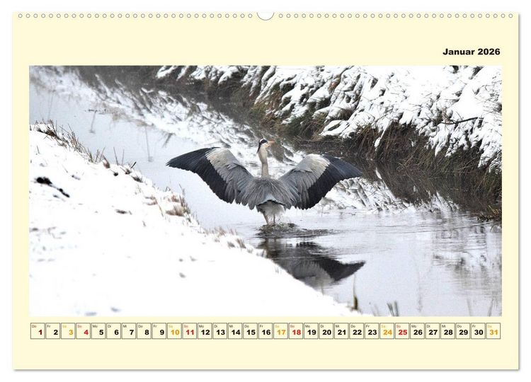 Produktbild: Unser Land im Norden (hochwertiger Premium Wandkalender 2026 DIN A2 quer), Kunstdruck in Hochglanz