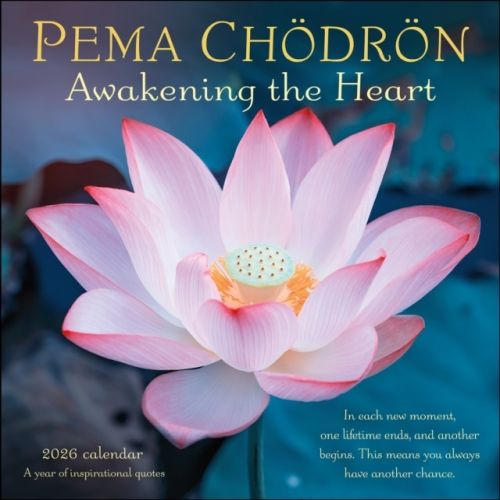 Produktbild: Pema Ch&ouml;dr&ouml;n 2026 Wall Calendar