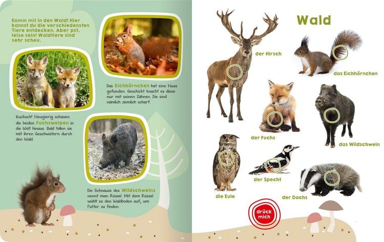 Produktbild: Mein gro&szlig;es Buch der Tierger&auml;usche
