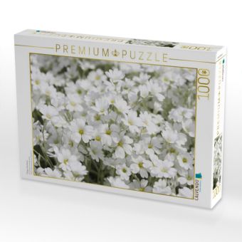 Produktbild: CALVENDO Puzzle Filziges Hornkraut | 1000 Teile Lege-Gr&ouml;&szlig;e 64x48cm Foto-Puzzle f&uuml;r gl&uuml;ckliche Stunden
