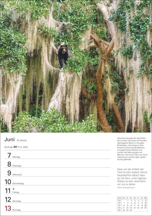 Produktbild: Wunder der Natur Wochenplaner 2027 - 53 faszinierende Fotografien