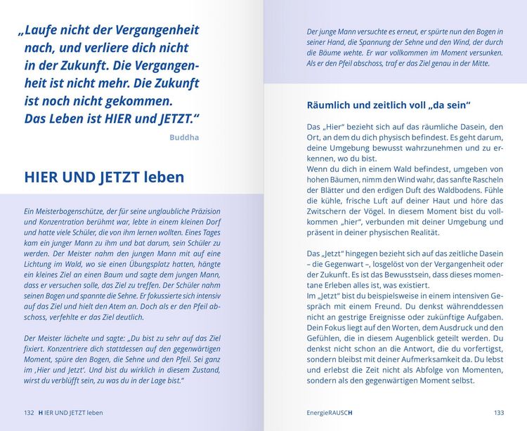 Produktbild: EnergieRAUSCH &ndash; Schluss mit Antriebslosigkeit, Stress und Sorgen