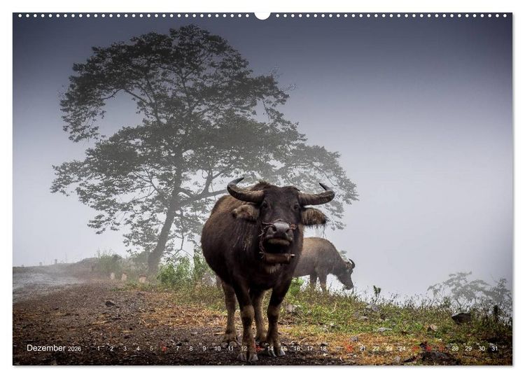 Produktbild: Vietnam und Kambodscha - Magische Momente. (hochwertiger Premium Wandkalender 2026 DIN A2 quer), Kunstdruck in Hochglanz