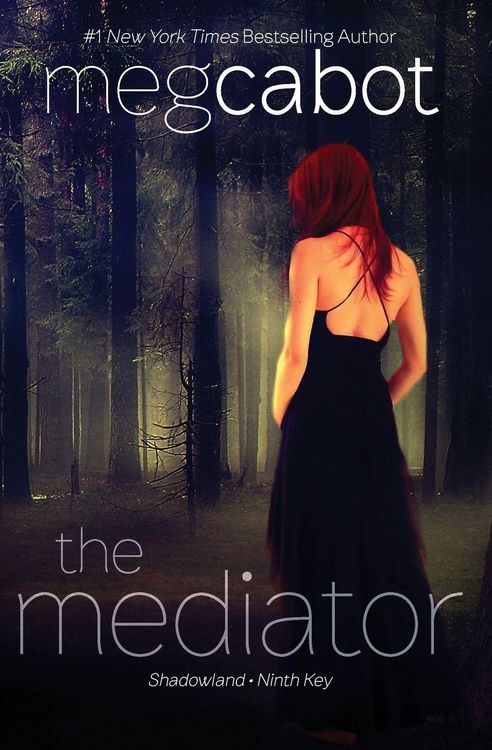 Produktbild: The Mediator