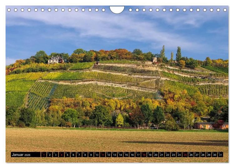 Produktbild: Saale-Unstrut - Region aus Wein und Stein (Wandkalender 2026 DIN A4 quer), CALVENDO Monatskalender