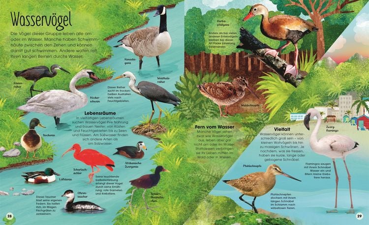 Produktbild: Die schillernde Welt der V&ouml;gel