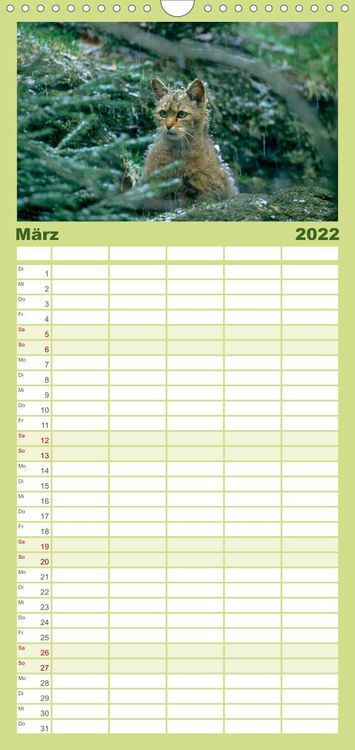 Produktbild: Familienplaner Tiere des Waldes (Wandkalender 2022 , 21 cm x 45 cm, hoch)
