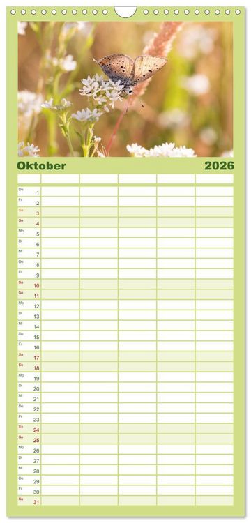 Produktbild: Familienplaner 2026 - Schmetterlinge. Schimmernde Zauberwesen mit 5 Spalten (Wandkalender, 21 x 45 cm) CALVENDO