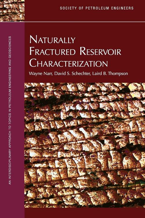Produktbild: Naturally Fractured Reservoir Characterization