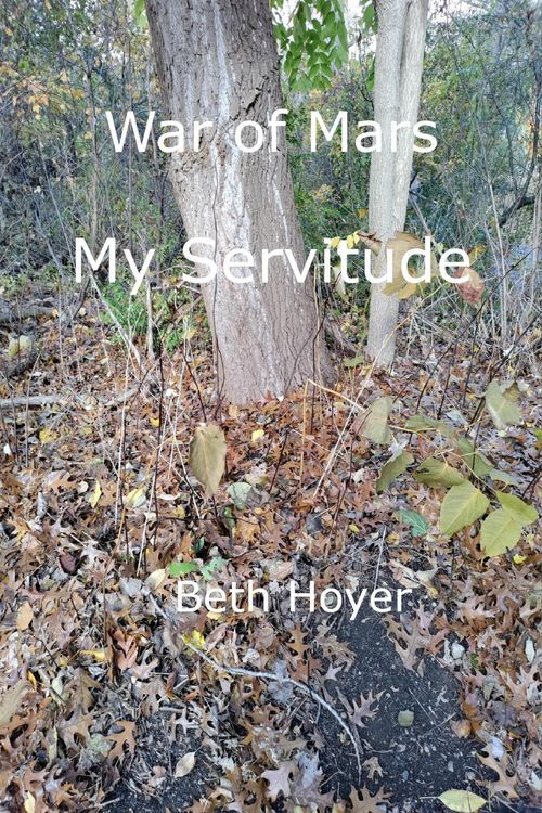 Produktbild: War of Mars: My Servitude (Edenia, #219)