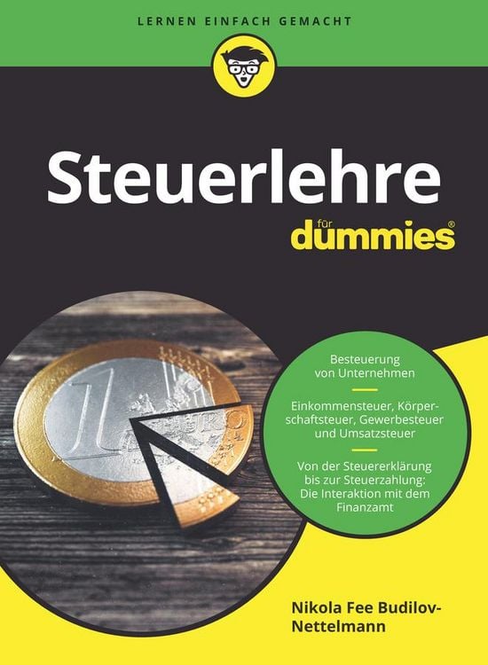 Bild vom Artikel Steuerlehre für Dummies vom Autor Nikola Budilov-Nettelmann