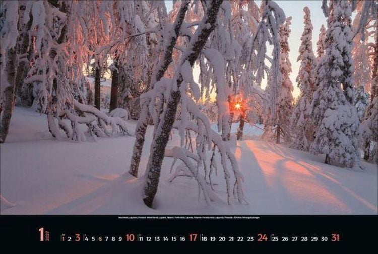 Produktbild: Magische W&auml;lder 2027