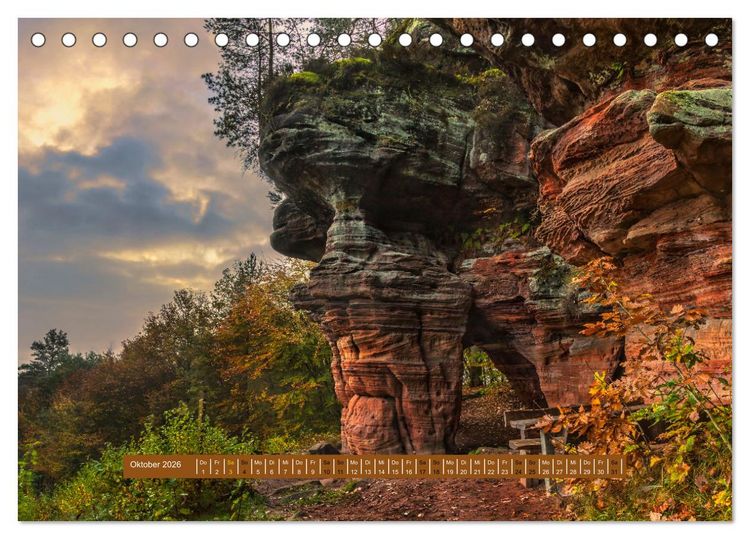 Produktbild: Magischer Pf&auml;lzer Wald (Tischkalender 2026 DIN A5 quer), CALVENDO Monatskalender
