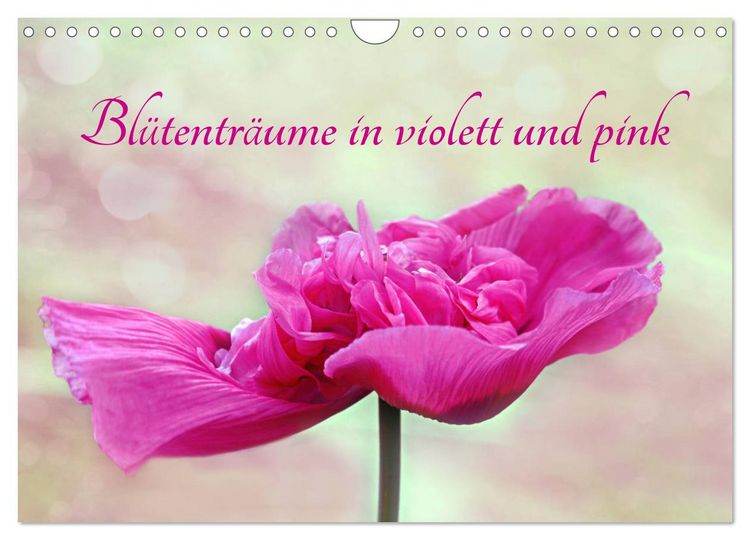 Produktbild: Bl&uuml;tentr&auml;ume in violett und pink (Wandkalender 2026 DIN A4 quer), CALVENDO Monatskalender