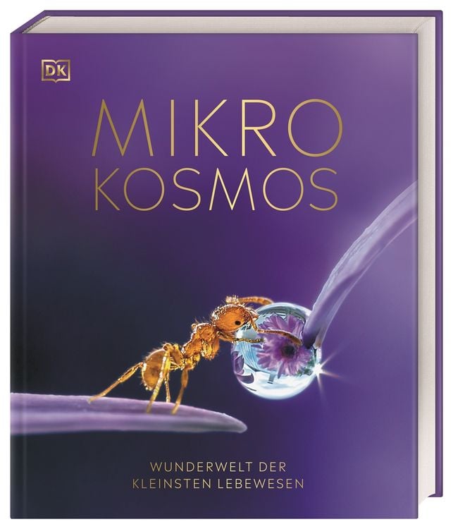 Produktbild: Mikrokosmos - Wunderwelt der kleinsten Lebewesen