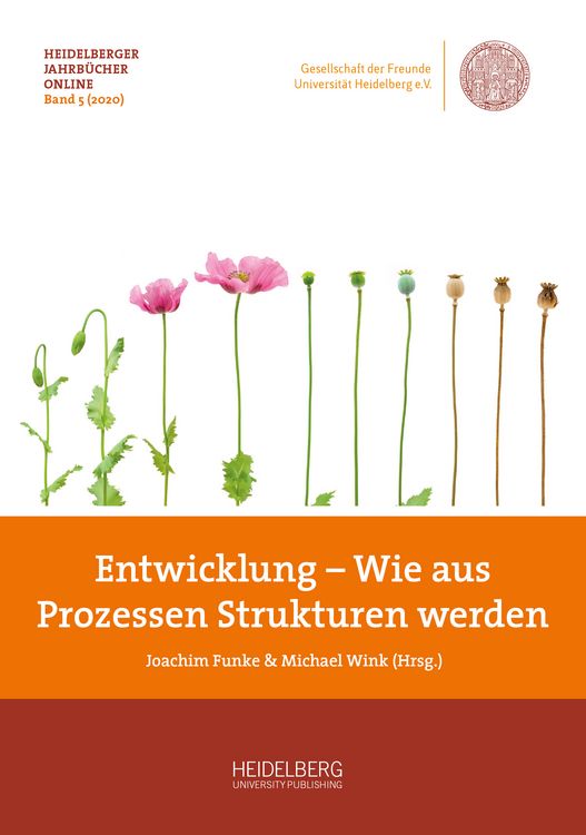 Produktbild: Entwicklung &ndash; Wie aus Prozessen Strukturen werden