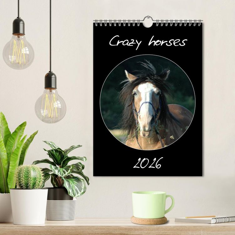 Produktbild: Crazy horses (Wandkalender 2026 DIN A4 hoch), CALVENDO Monatskalender