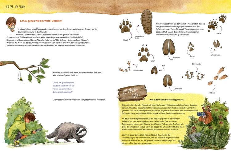 Produktbild: Erlebe den Wald mit allen Sinnen