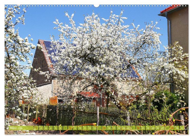 Produktbild: Brandenburg - Sch&ouml;ne Orte im Landkreis Potsdam-Mittelmark (hochwertiger Premium Wandkalender 2026 DIN A2 quer), Kunstdruck in Hochglanz