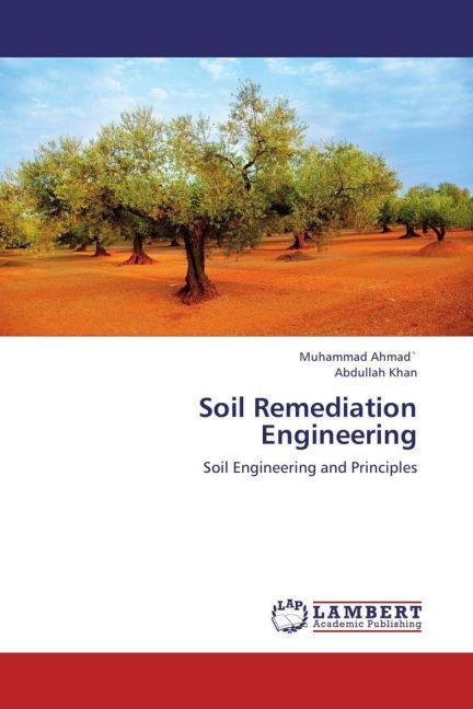 Produktbild: Ahmad`, M: Soil Remediation Engineering