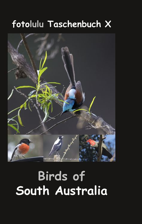 Produktbild: Birds of South Australia