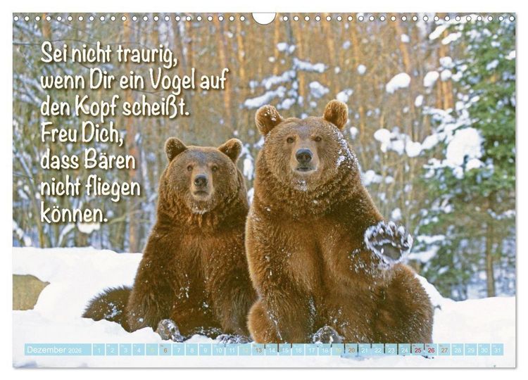 Produktbild: Spa&szlig; mit B&auml;ren: Edition lustige Tiere (Wandkalender 2026 DIN A3 quer), CALVENDO Monatskalender