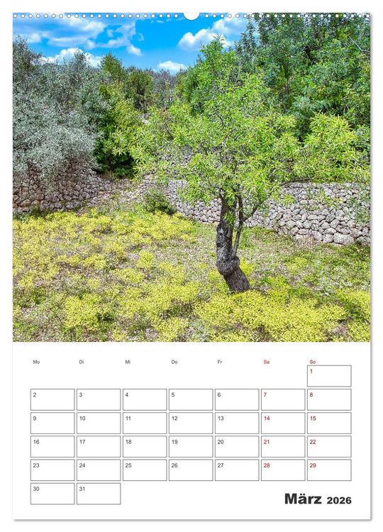 Produktbild: Mallorca - Traumhafte Insel auf der Sonnenseite (Wandkalender 2026 DIN A2 hoch), CALVENDO Monatskalender