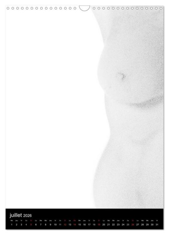 Produktbild: F&eacute;minit&eacute; (Calendrier mural 2026 DIN A3 horizontal), CALVENDO calendrier mensuel